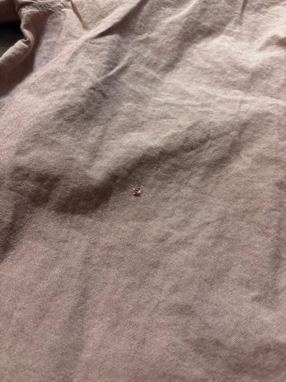 Size large - Picture 2 of 2